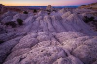 _MG_1262.jpg _MG_1262.jpg