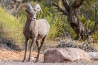 _MG_0256.jpg _MG_0256.jpg