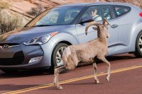 _MG_0269.jpg _MG_0269.jpg