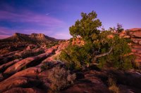 _MG_1724.jpg _MG_1724.jpg