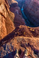 _MG_1921.jpg _MG_1921.jpg