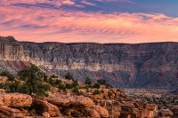 _MG_0417.jpg _MG_0417.jpg