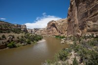 yampa-2017-1600-38.jpg