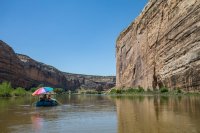 yampa-2017-1600-50.jpg