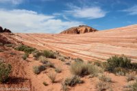 ValleyofFire 5.3.14 024.jpg