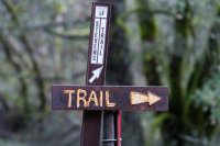 Stevens Trail-7.jpg Stevens Trail-7.jpg