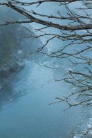 Stevens Trail-18.jpg Stevens Trail-18.jpg