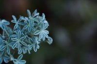 Stevens Trail-14.jpg Stevens Trail-14.jpg