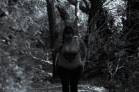 Stevens Trail-37.jpg Stevens Trail-37.jpg