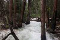 steam_01.jpg steam_01.jpg