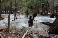 steam_02.jpg steam_02.jpg