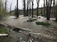 9BF129C5-9D33-48A8-A78E-09B53A5903E3.jpeg 9BF129C5-9D33-48A8-A78E-09B53A5903E3.jpeg