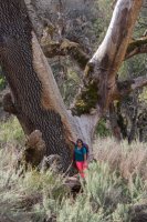 Murietta Falls-13.jpg Murietta Falls-13.jpg