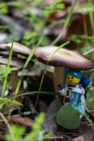 Murietta Falls-21.jpg Murietta Falls-21.jpg