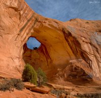 2D5A5122.jpg 2D5A5122.jpg