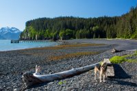 Seward_trip_hike_beach_S_beach&pier&Alice.jpg