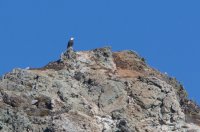 _73A3880.jpg _73A3880.jpg