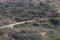 _73A3931.jpg _73A3931.jpg