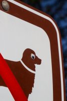 Waterfall  Weekend 5.jpg