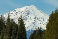 Waterfall  Weekend-18.jpg