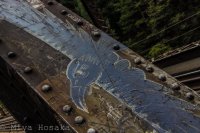 Waterfall  Weekend-13.jpg