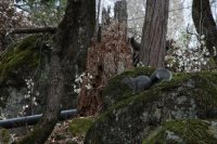 Waterfall  Weekend-66.jpg