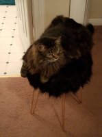 20170602_233447.jpg 20170602_233447.jpg