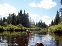 fullsizeoutput_ce8.jpeg fullsizeoutput_ce8.jpeg