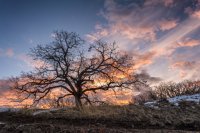 Sunrise 3-3-180038-proc.jpg