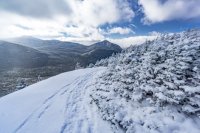 DSC07270.JPG DSC07270.JPG