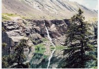 Sangres Willow July 98.jpg