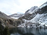 Sangres Willow 100106.jpg