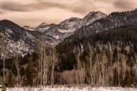 Silver Lake Flat 3-7-180002-proc.jpg