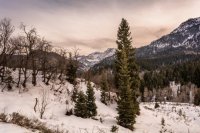 Silver Lake Flat 3-7-180003-proc.jpg