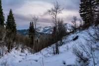 Silver Lake Flat 3-7-180017-proc.jpg