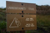 Reflective Eyes-2.jpg