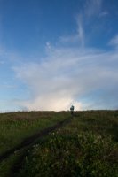 Reflective Eyes-7.jpg