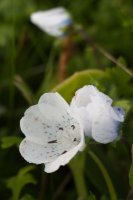 Reflective Eyes-11.jpg