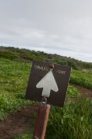 Reflective Eyes-14.jpg