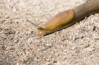 Reflective Eyes-16.jpg