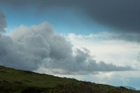 Reflective Eyes-17.jpg