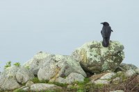 Reflective Eyes-18.jpg