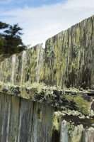 Reflective Eyes-21.jpg