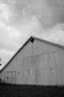 Reflective Eyes-22.jpg