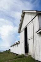 Reflective Eyes-23.jpg