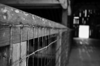 Reflective Eyes-24.jpg