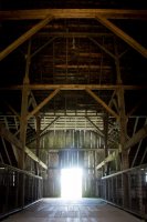 Reflective Eyes-25.jpg