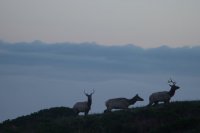 Reflective Eyes-33.jpg