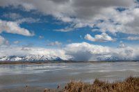 DSC01951.jpg DSC01951.jpg