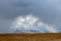 DSC02094.jpg DSC02094.jpg